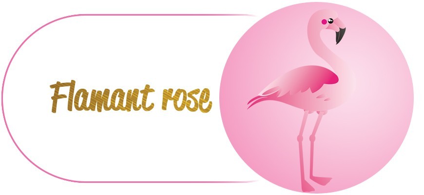 Kit D'Anniversaire Flamant rose